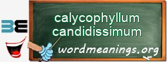 WordMeaning blackboard for calycophyllum candidissimum